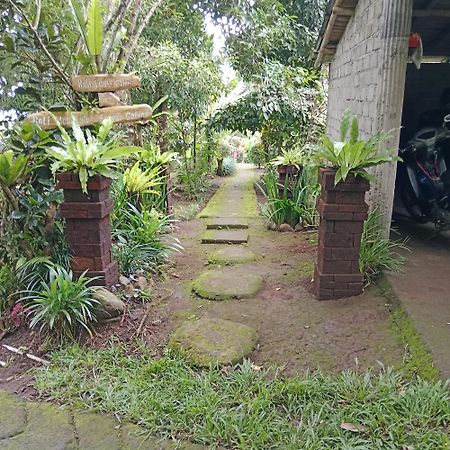 Bali Mountain Forest Cabin Penebel Exterior photo