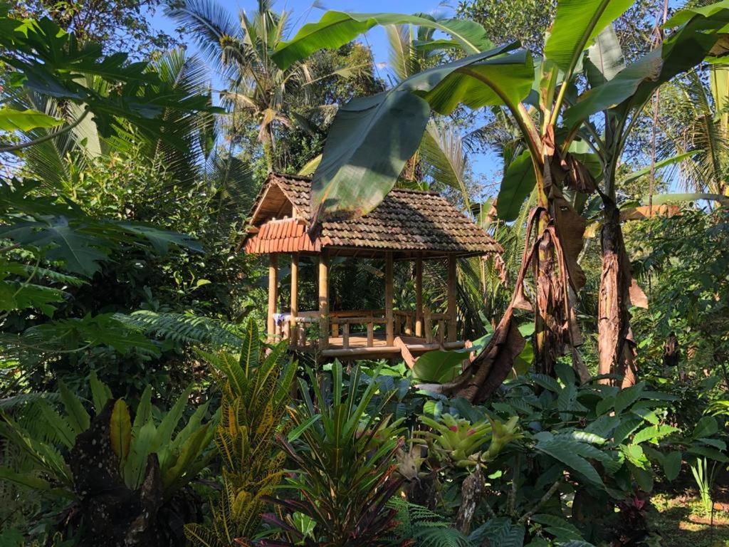 Bali Mountain Forest Cabin Penebel Exterior photo