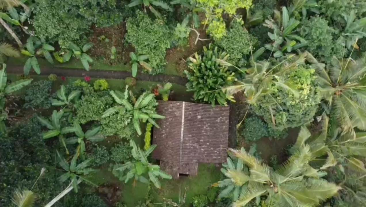 Bali Mountain Forest Cabin Penebel Room photo