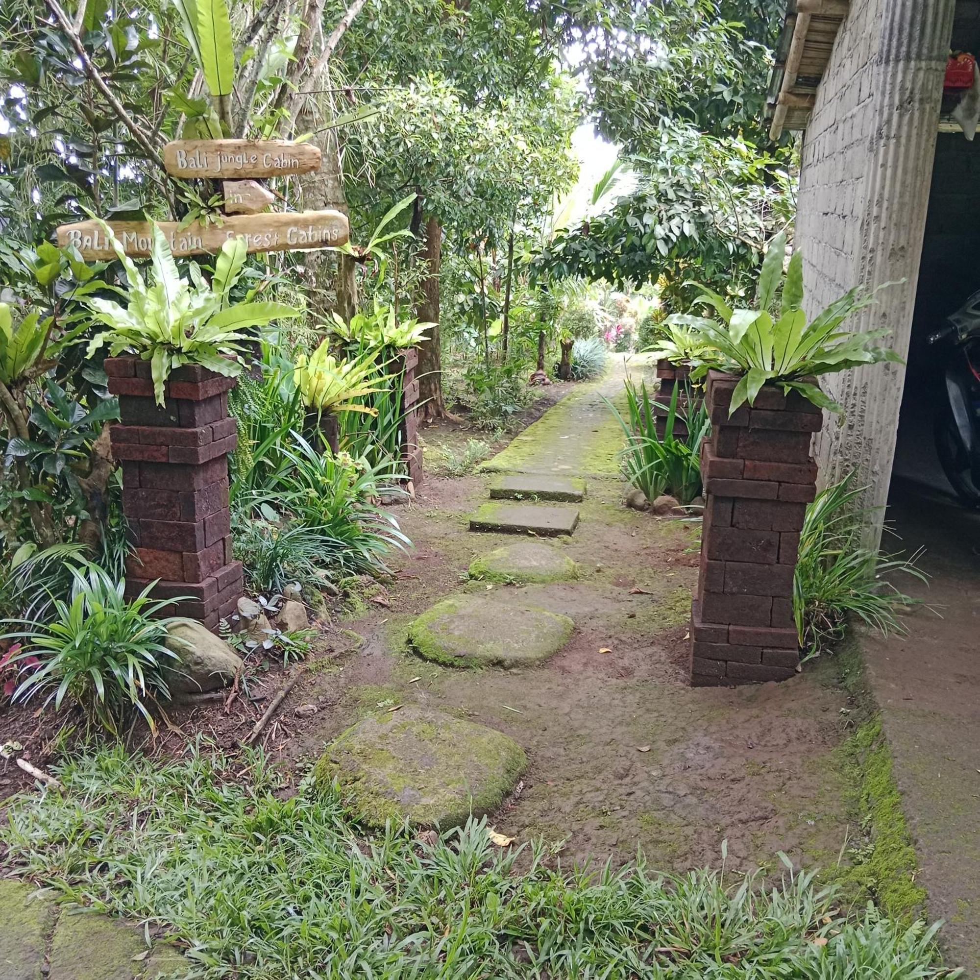 Bali Mountain Forest Cabin Penebel Room photo