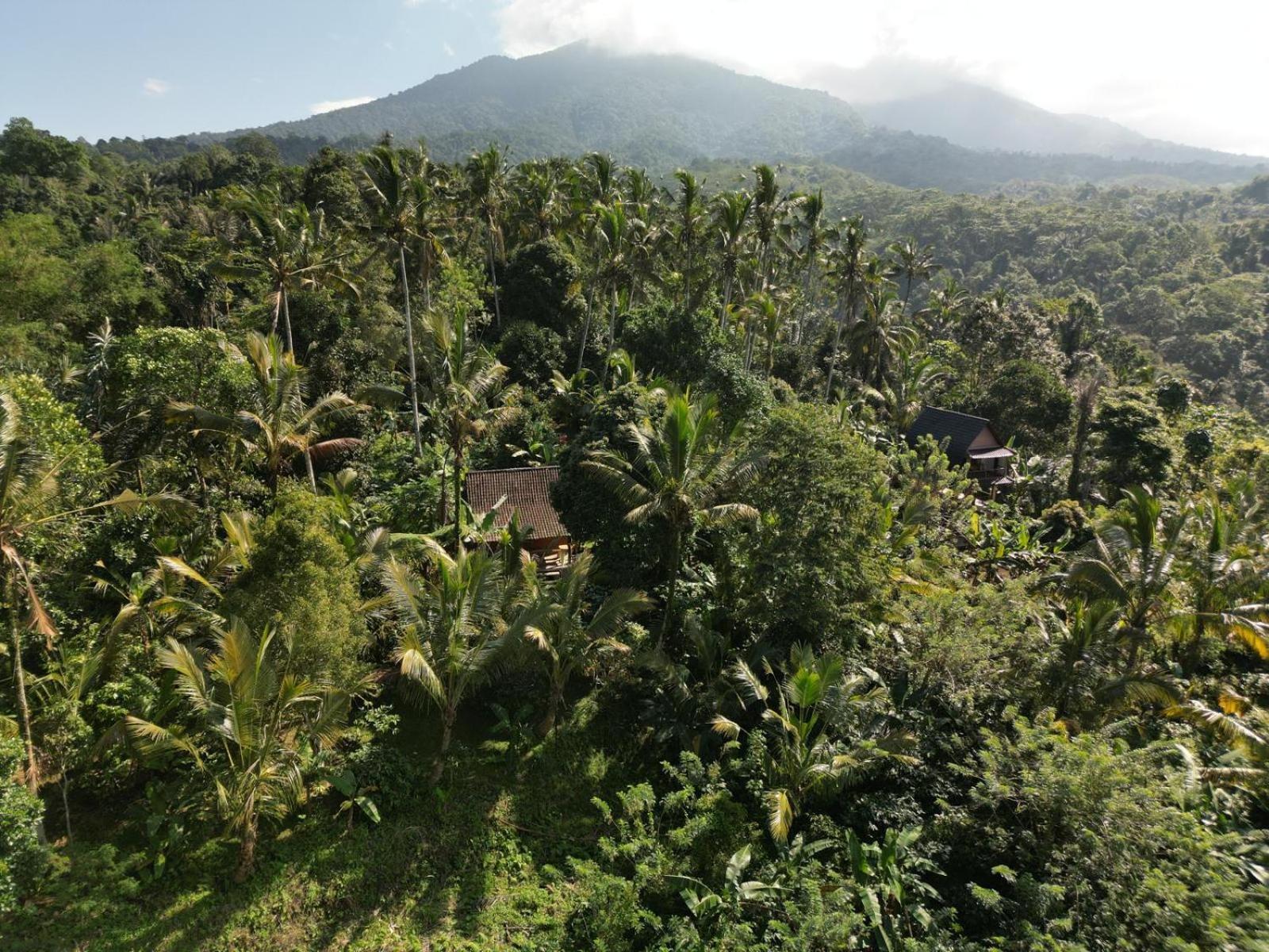 Bali Mountain Forest Cabin Penebel Room photo