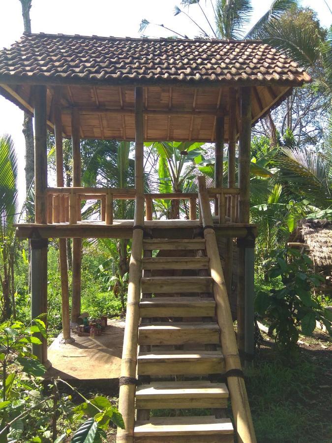 Bali Mountain Forest Cabin Penebel Room photo